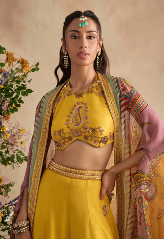 Aneeka amber sharara set