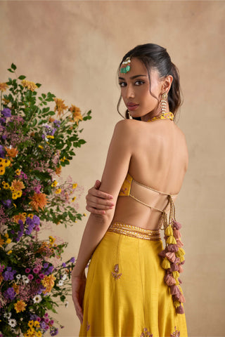 Aneeka amber sharara set