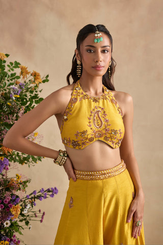 Aneeka amber sharara set