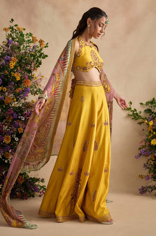 Aneeka amber sharara set