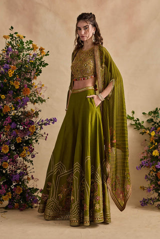 Raiba olive green sharara and cape set