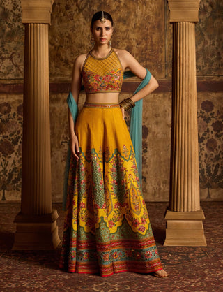 Arika amber sharara set