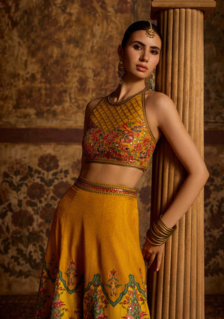 Arika amber sharara set