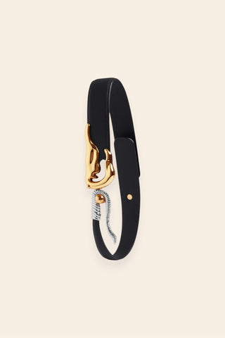 Sigil coil belt