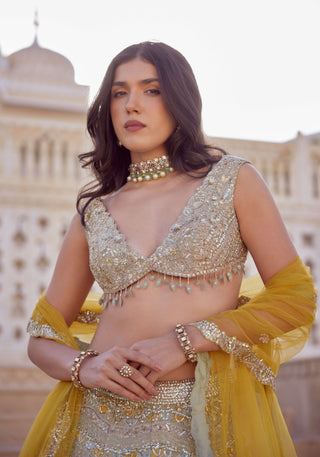 Sage tissue silk embroidered lehenga set