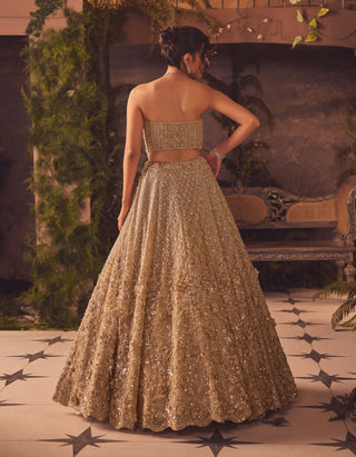 Oriana gold corset and lehenga set