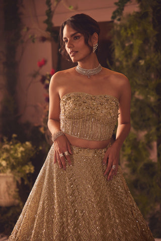 Oriana gold corset and lehenga set
