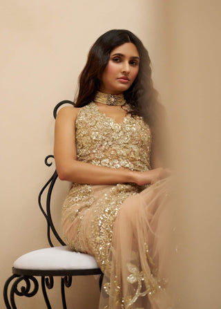 Ethereal mist tulle sari with blouse