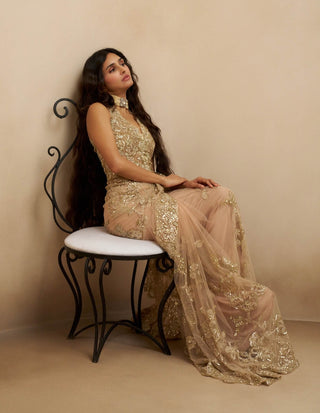 Ethereal mist tulle sari with blouse