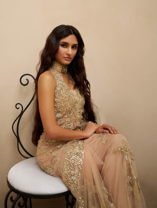 Ethereal mist tulle sari with blouse