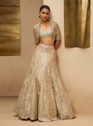 Champagne blossom lehenga set