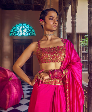 Gulabi gulaal draped sari and blouse