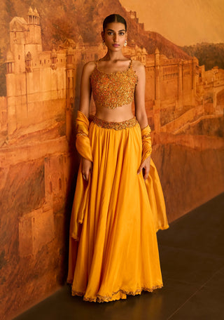 Mustard choli ke peeche lehenga set