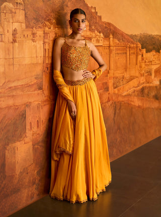 Mustard choli ke peeche lehenga set