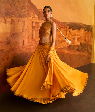 Mustard choli ke peeche lehenga set