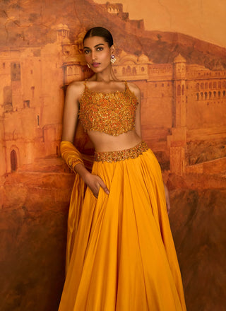 Mustard choli ke peeche lehenga set