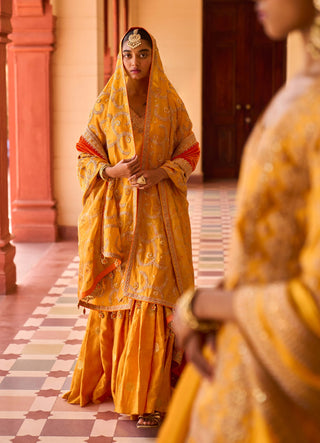 Mustard mughal gharara set