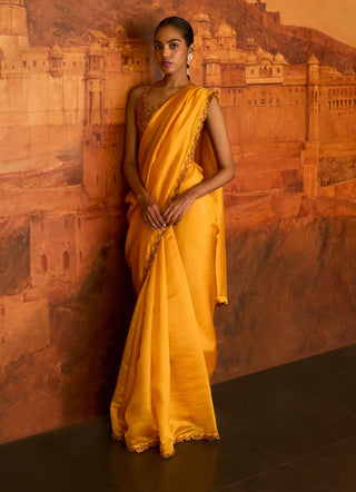 Mustard choli ke peeche sari and blouse