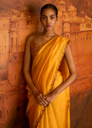 Mustard choli ke peeche sari and blouse