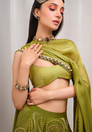 Olive Opulence Lehenga Set