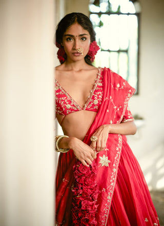 Space cherry organza lehenga set