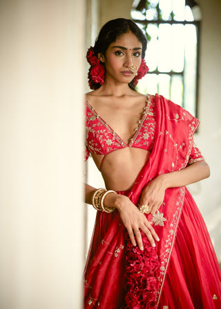 Space cherry organza lehenga set