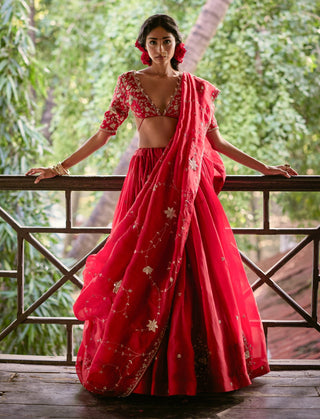 Space cherry organza lehenga set