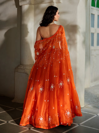 Rust orange embroidered cape and lehenga set