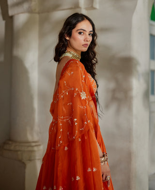 Rust orange embroidered cape and lehenga set