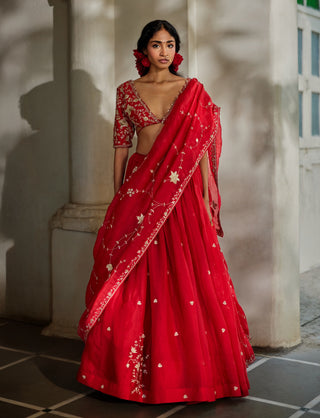 Space cherry organza lehenga set