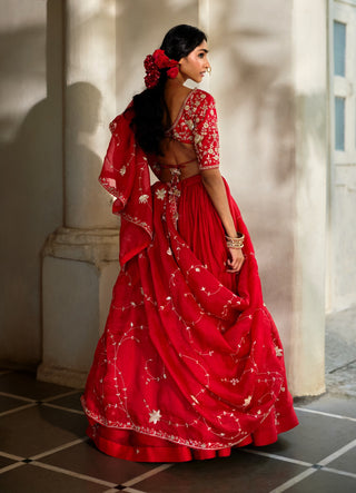 Space cherry organza lehenga set