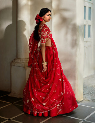 Space cherry organza lehenga set