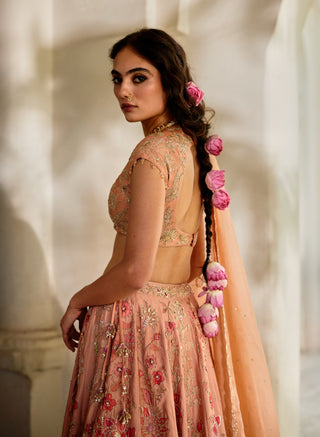 Peach printed lehenga set