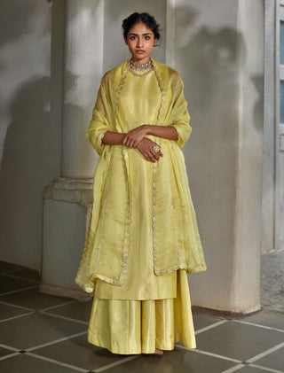 Soft yellow jamavar kurta and palazzo set