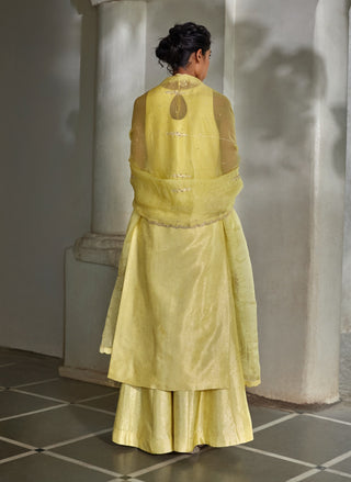 Soft yellow jamavar kurta and palazzo set