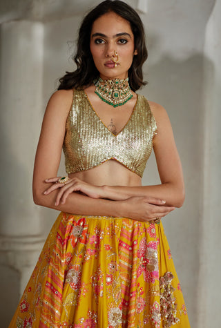 Golden honey lehenga set