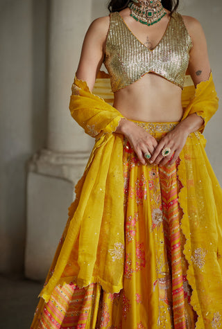 Golden honey lehenga set
