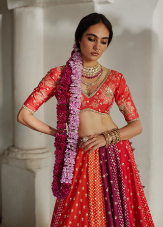 Multicolor vibrant lehenga set