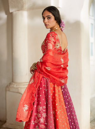 Multicolor vibrant lehenga set