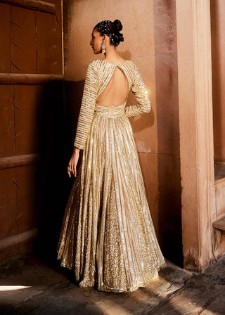 Prevasu-Golden Anarkali Gown And Dupatta-INDIASPOPUP.COM