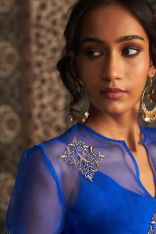 Blue Embroidered Sheer Top And Palazzo Set by Charkhee available on Indiaspopup.com