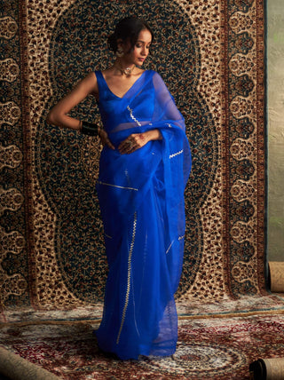 Blue embroidered organza sari and sleeveless blouse