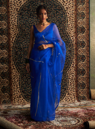 Blue embroidered organza sari and sleeveless blouse