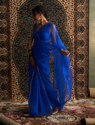 Blue embroidered organza sari and sleeveless blouse