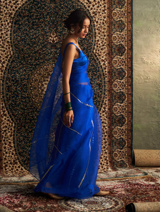 Blue embroidered organza sari and sleeveless blouse