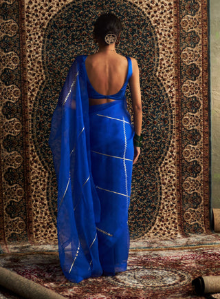 Blue embroidered organza sari and sleeveless blouse