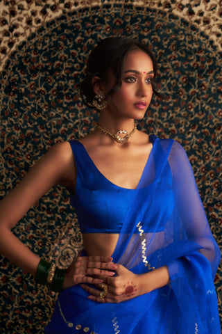 Blue embroidered organza sari and sleeveless blouse