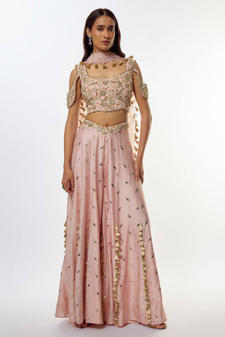 Rose pink embroidered choli, sharara and dupatta