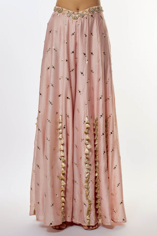 Rose pink embroidered choli, sharara and dupatta