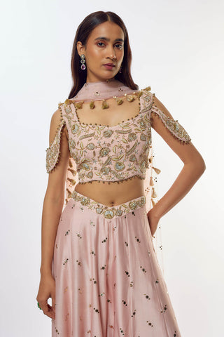Rose pink embroidered choli, sharara and dupatta